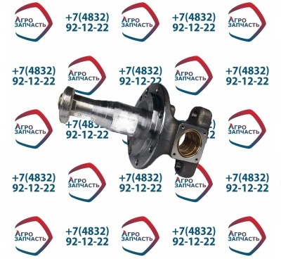 Кулак поворотный 6520-3001009 ОАО КАМАЗ