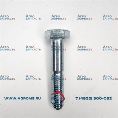 Болт М10-6gХ55.88.35.019 (Ростсельмаш)
